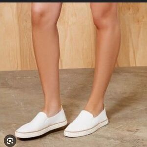 The Bren slip-on sneaker from UGG